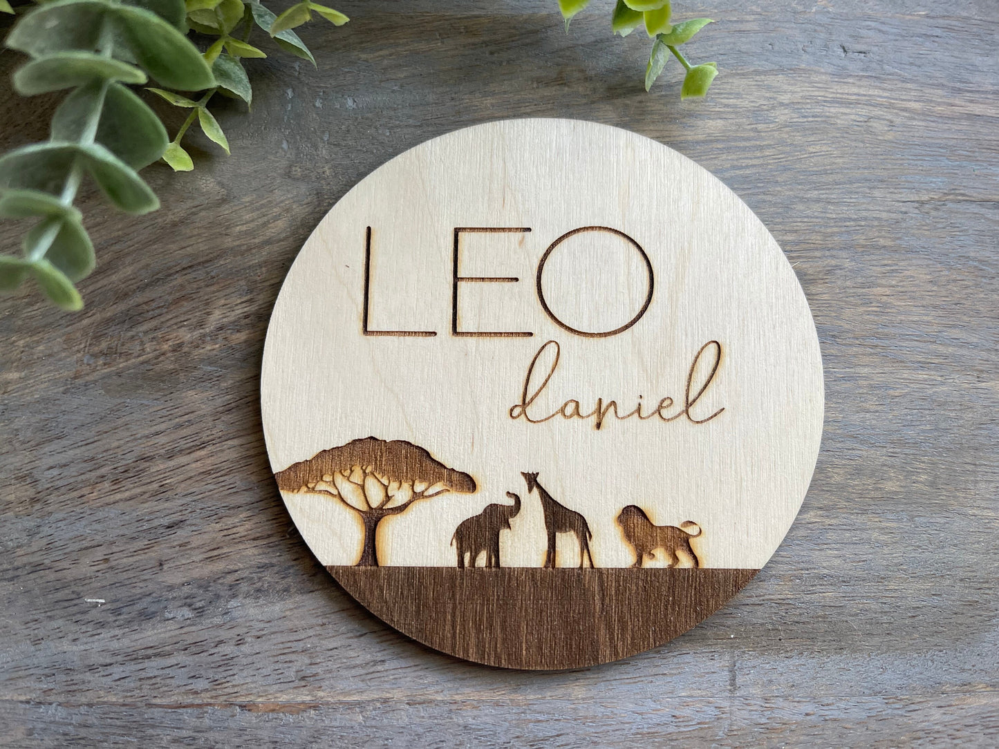 Safari Baby Name Sign Announcement, Wood Sign Birth Reveal, Baby Name Reveal, Baby Boy Name Sign, Jungle Themed Personal Newborn Name Sign