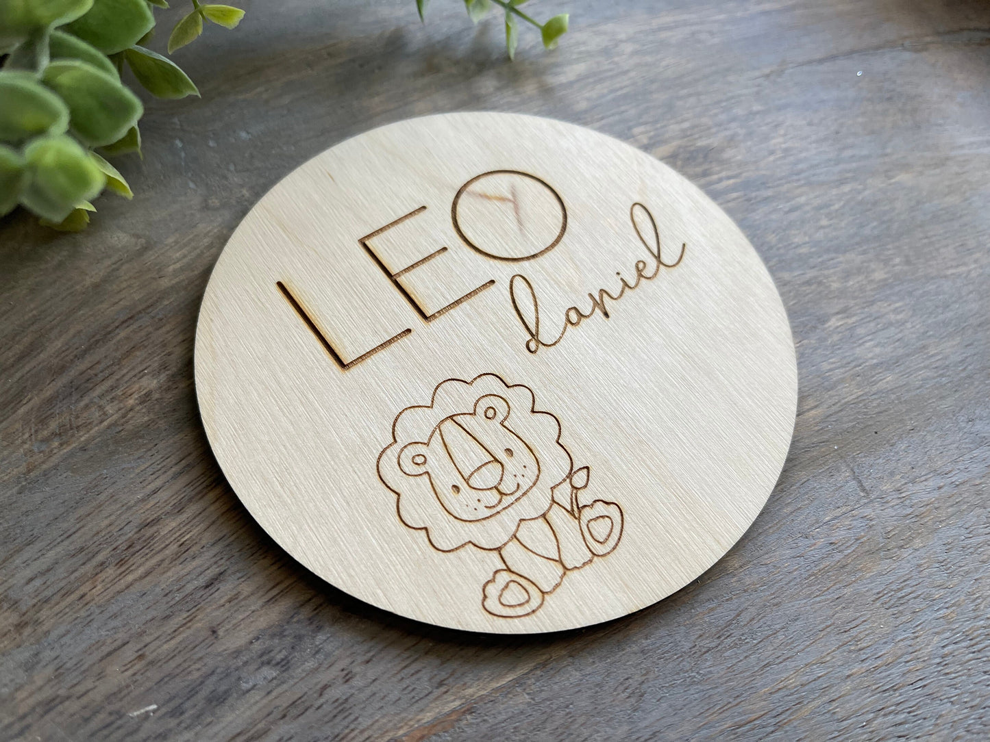 Safari Baby Name Sign Announcement, Wood Sign Birth Reveal, Baby Name Reveal, Baby Boy Name Sign, Jungle Themed Personal Newborn Name Sign