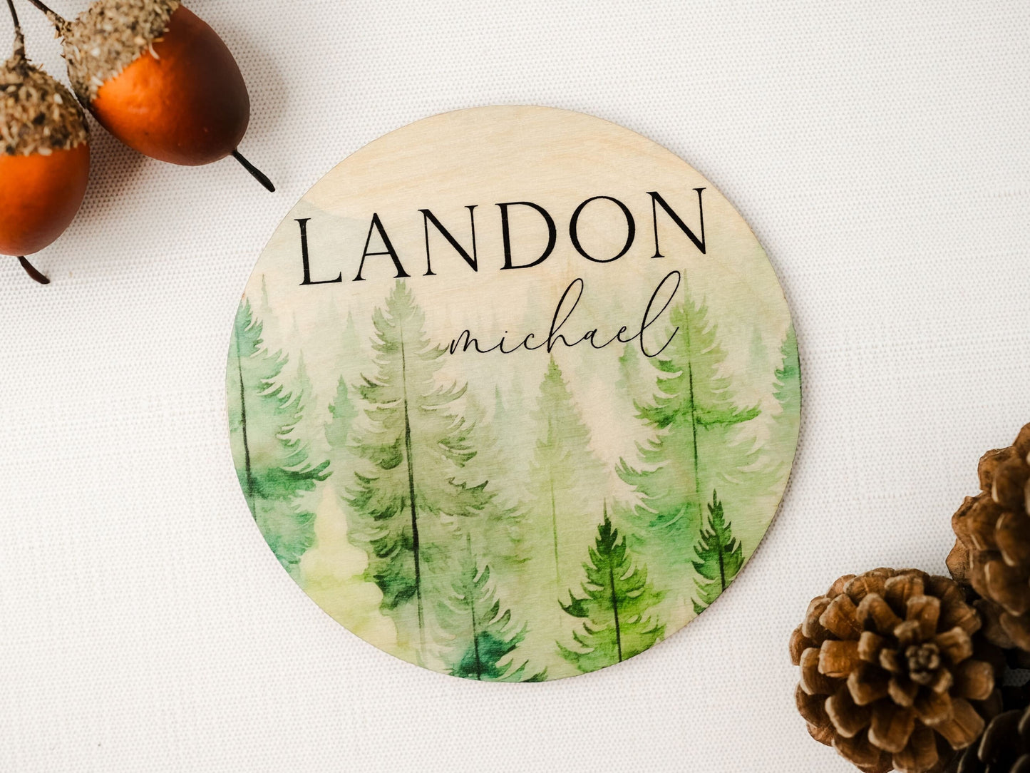 Forest Baby Name Sign, Hospital Name Announcement, Wood Sign Birth Reveal, Baby Name Reveal, Baby Boy Name Sign, Birth Announcement