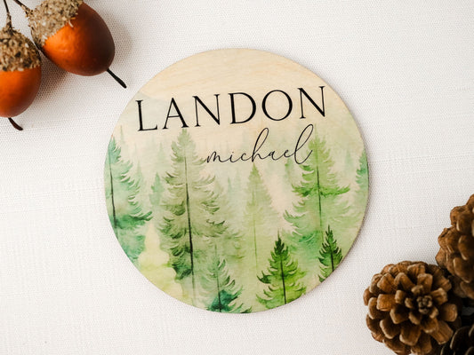 Forest Baby Name Sign, Hospital Name Announcement, Wood Sign Birth Reveal, Baby Name Reveal, Baby Boy Name Sign, Birth Announcement