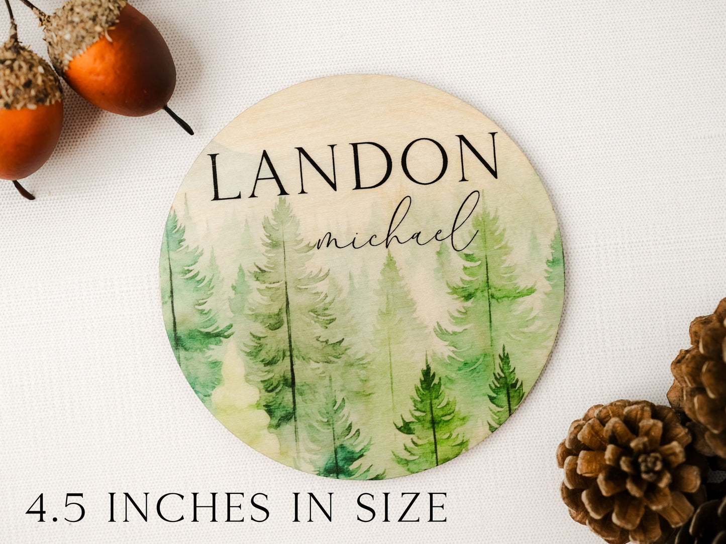 Forest Baby Name Sign, Hospital Name Announcement, Wood Sign Birth Reveal, Baby Name Reveal, Baby Boy Name Sign, Birth Announcement