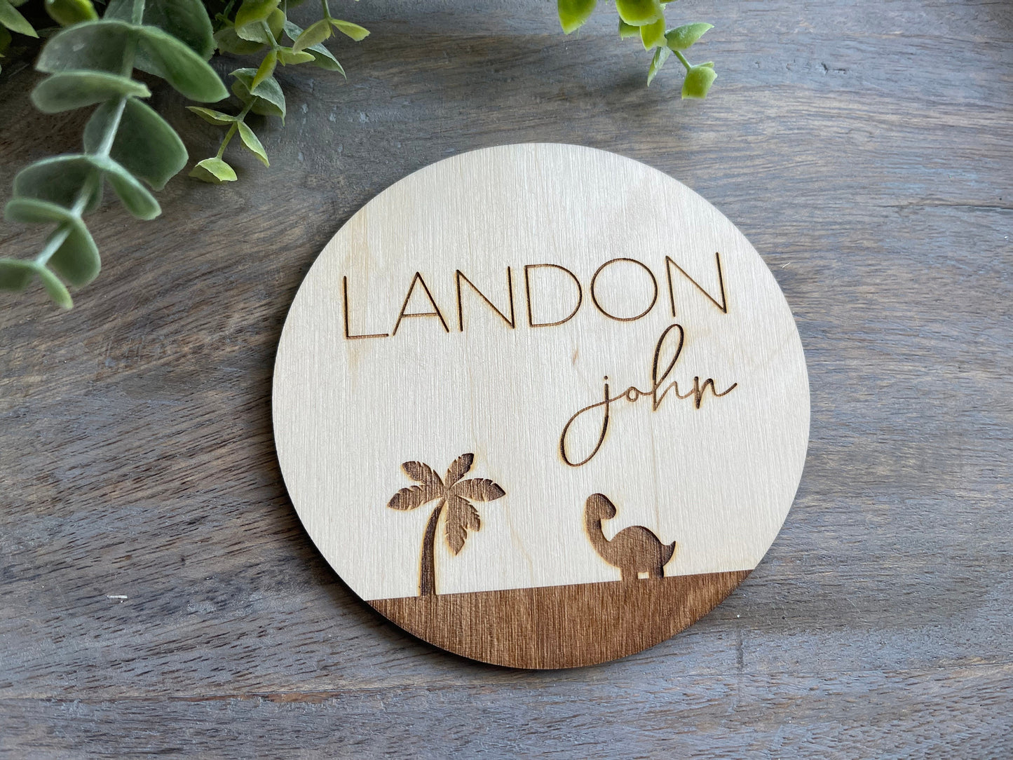 Dinosaur Baby Name Sign Announcement, Wood Sign Birth Reveal, Baby Name Reveal Sign, Small Baby Boy Name Sign, Personalized  Newborn Name
