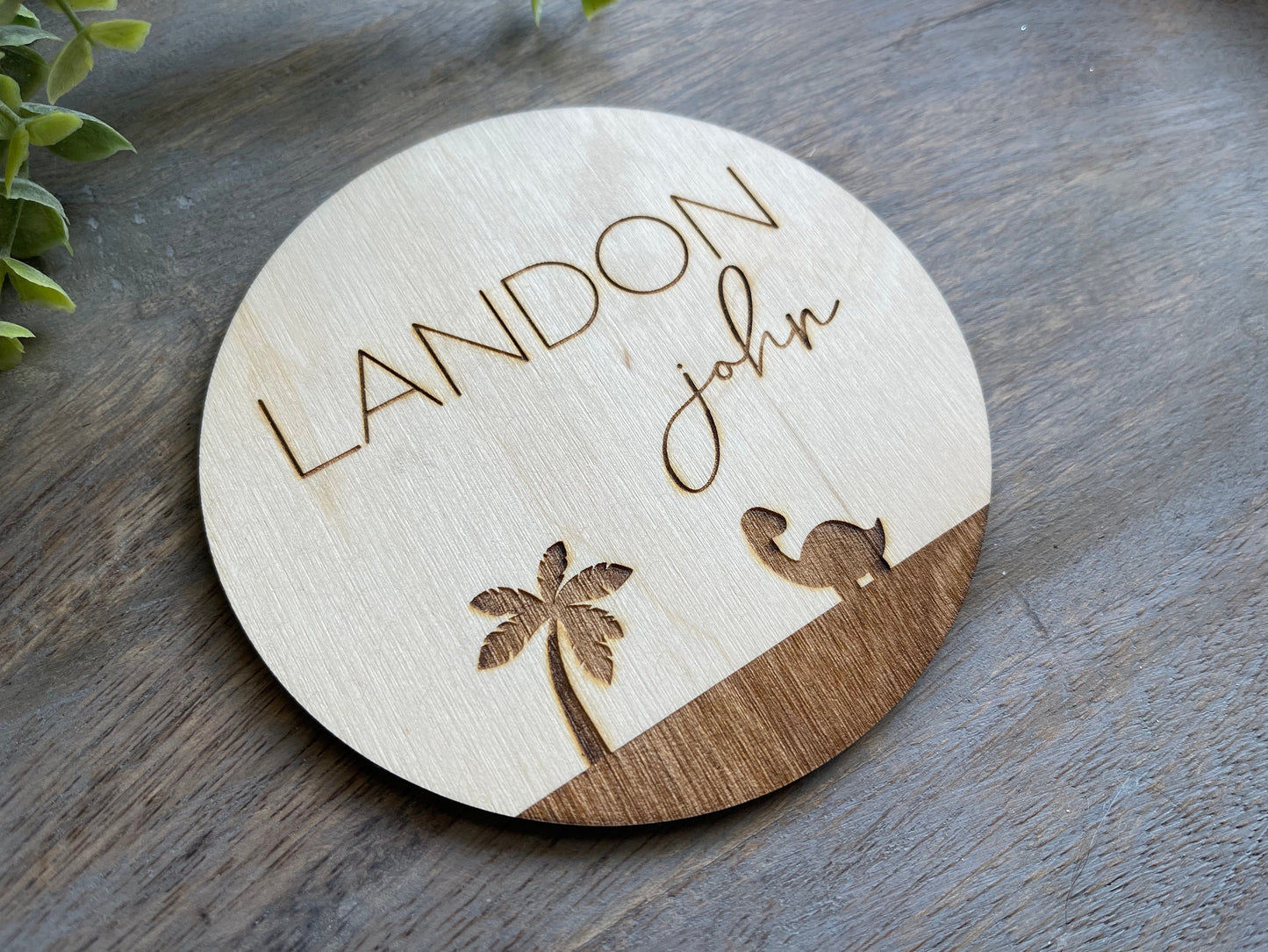 Dinosaur Baby Name Sign Announcement, Wood Sign Birth Reveal, Baby Name Reveal Sign, Small Baby Boy Name Sign, Personalized  Newborn Name
