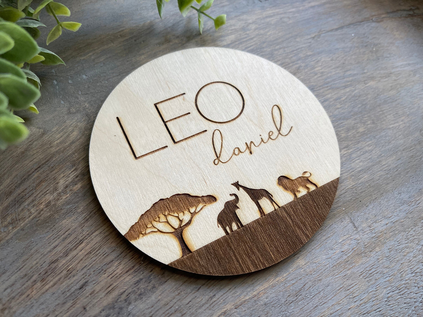 Safari Baby Name Sign Announcement, Wood Sign Birth Reveal, Baby Name Reveal, Baby Boy Name Sign, Jungle Themed Personal Newborn Name Sign