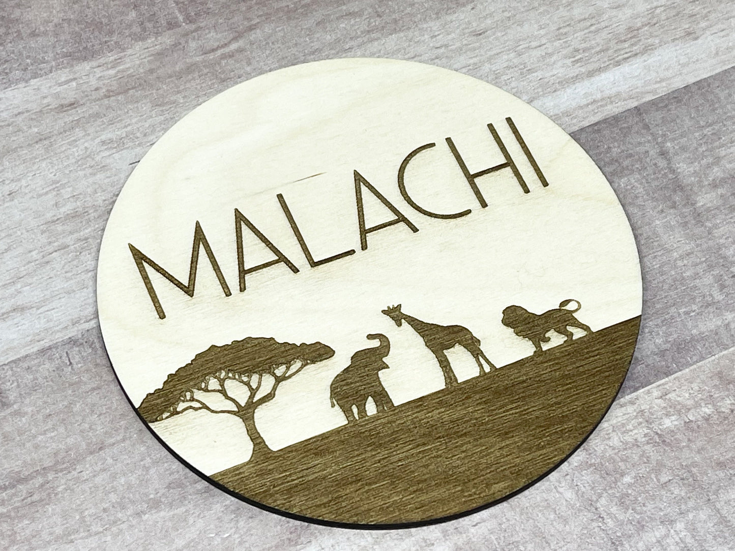 Safari Baby Name Sign Announcement, Wood Sign Birth Reveal, Baby Name Reveal, Baby Boy Name Sign, Jungle Themed Personal Newborn Name Sign